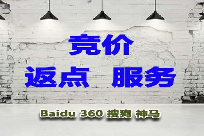 百度竞价运营的挑战与机遇：成功案例探讨